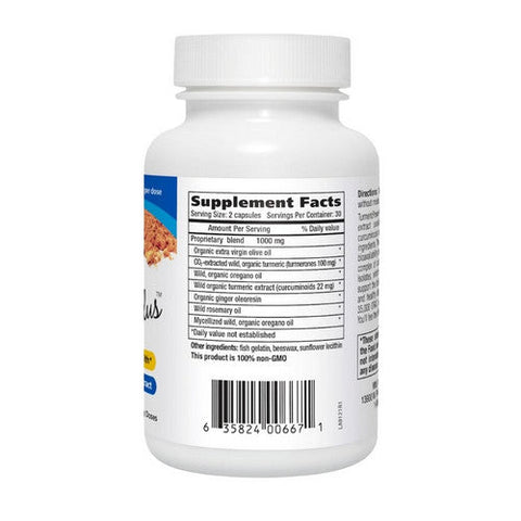 North American Herb & Spice, Turmeric Power-Plus, 60 Softgels North American Herb & Spice