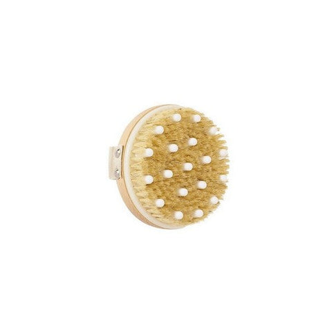 Daily Concepts, Detox Massaging Brush Vigorous, 1 Count Daily Concepts