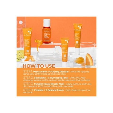 Andalou Naturals, To Go Brightening Routine Set, 4 Count Andalou Naturals