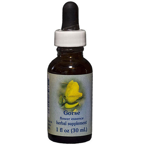 Flower Essence Services, Gorse Dropper, 1 oz Flower Essence Services